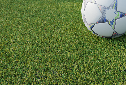 Ashton Artificial Grass