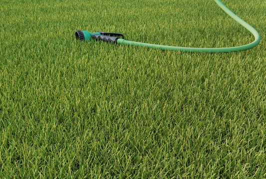 Ashton Plus Artificial Grass