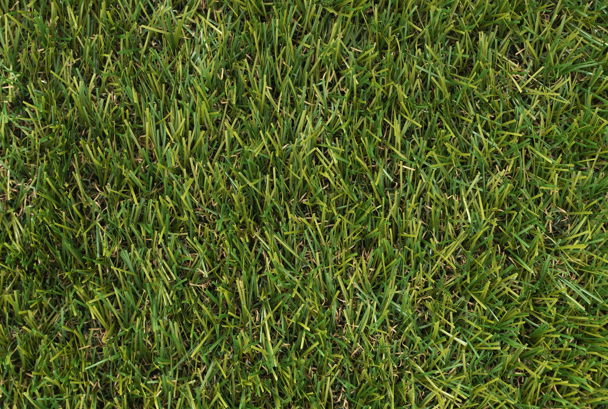 Ashton Plus Artificial Grass