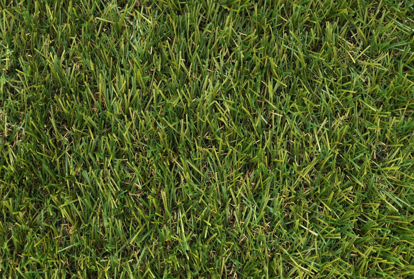 Ashton Plus Artificial Grass