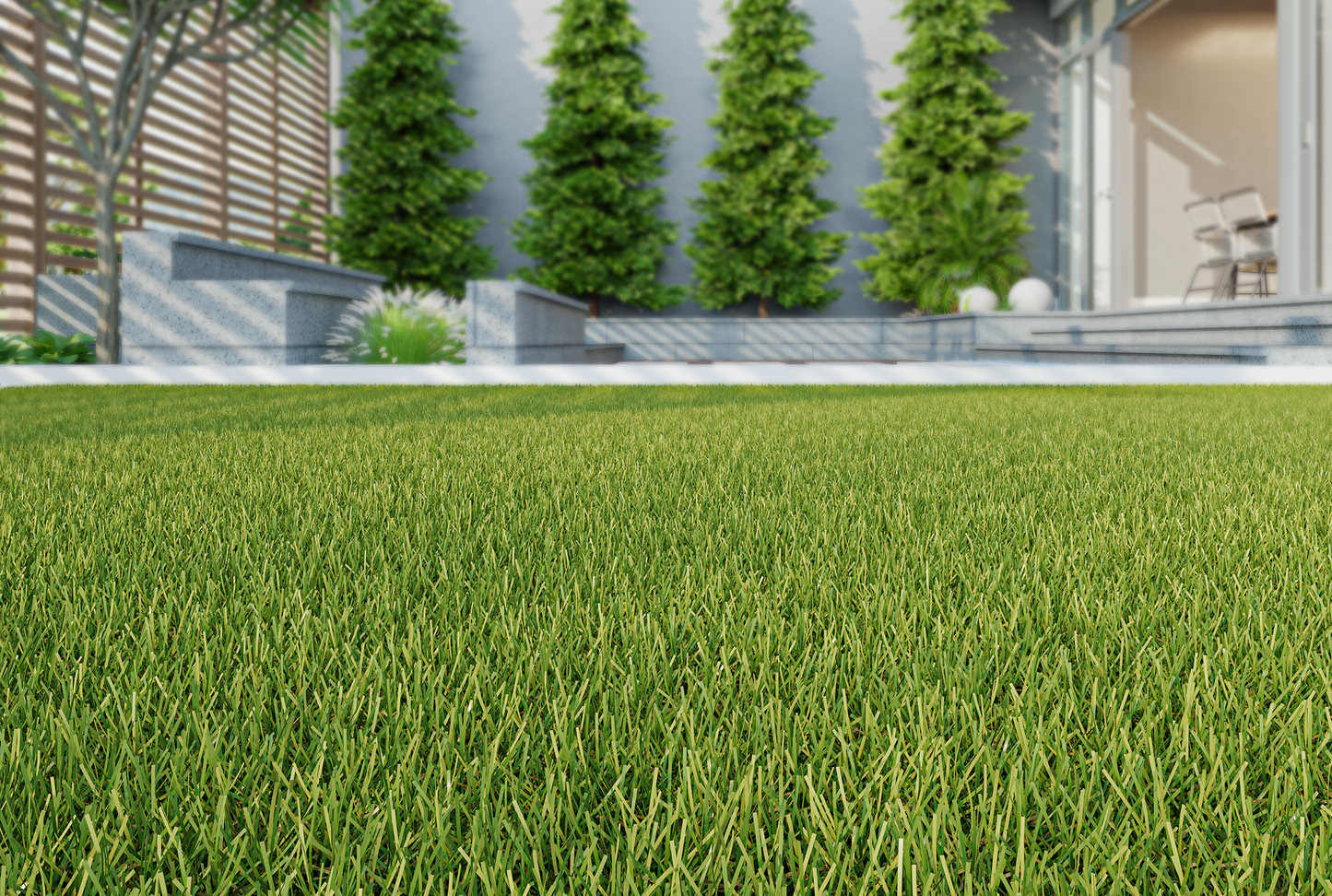 Ashton Plus Artificial Grass