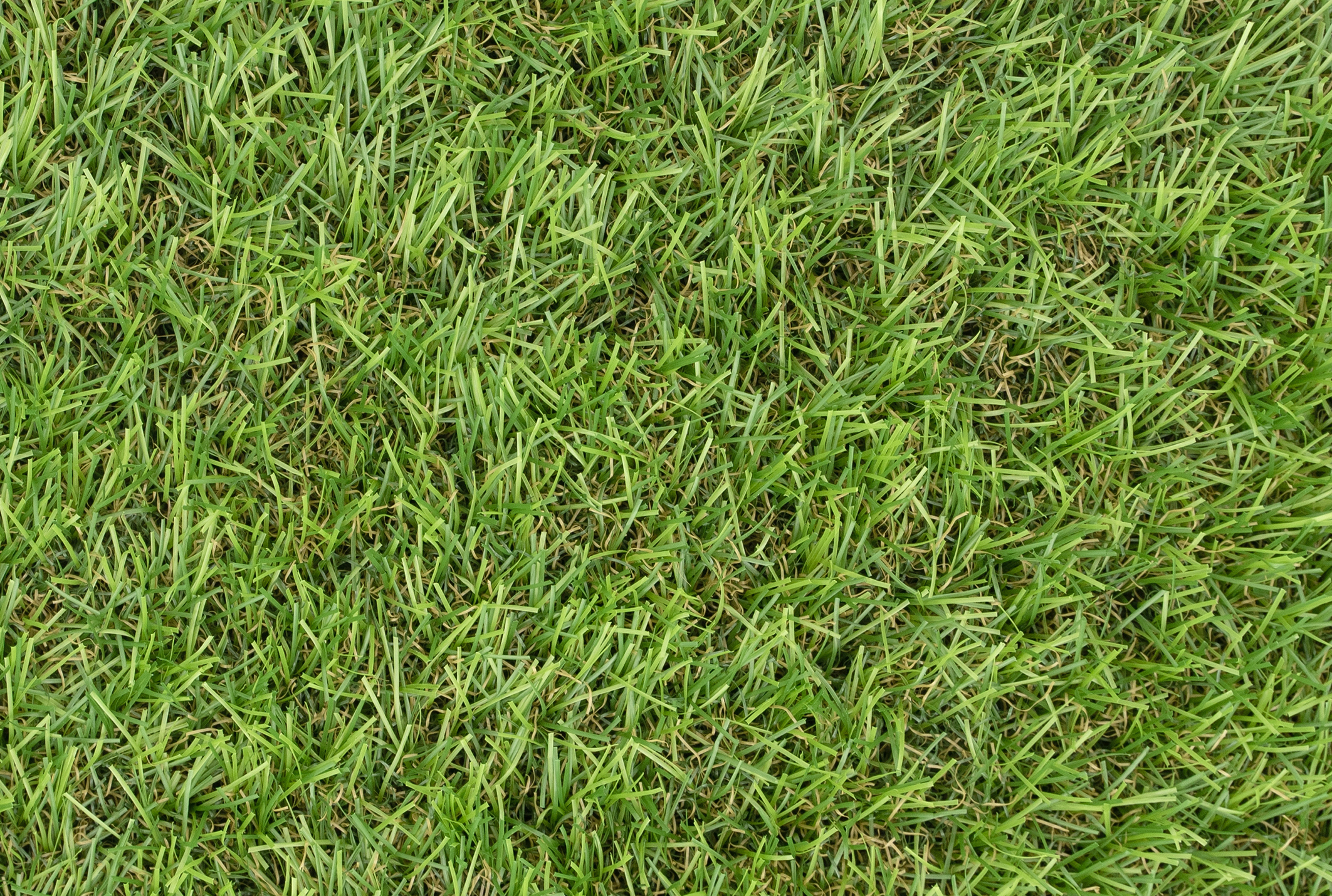 Chasewater Artificial Grass
