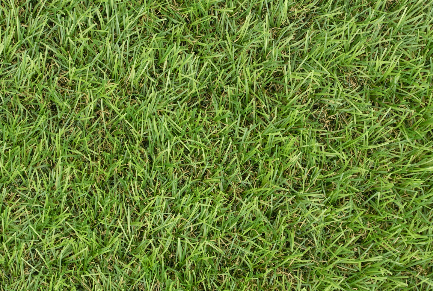 Chasewater Artificial Grass
