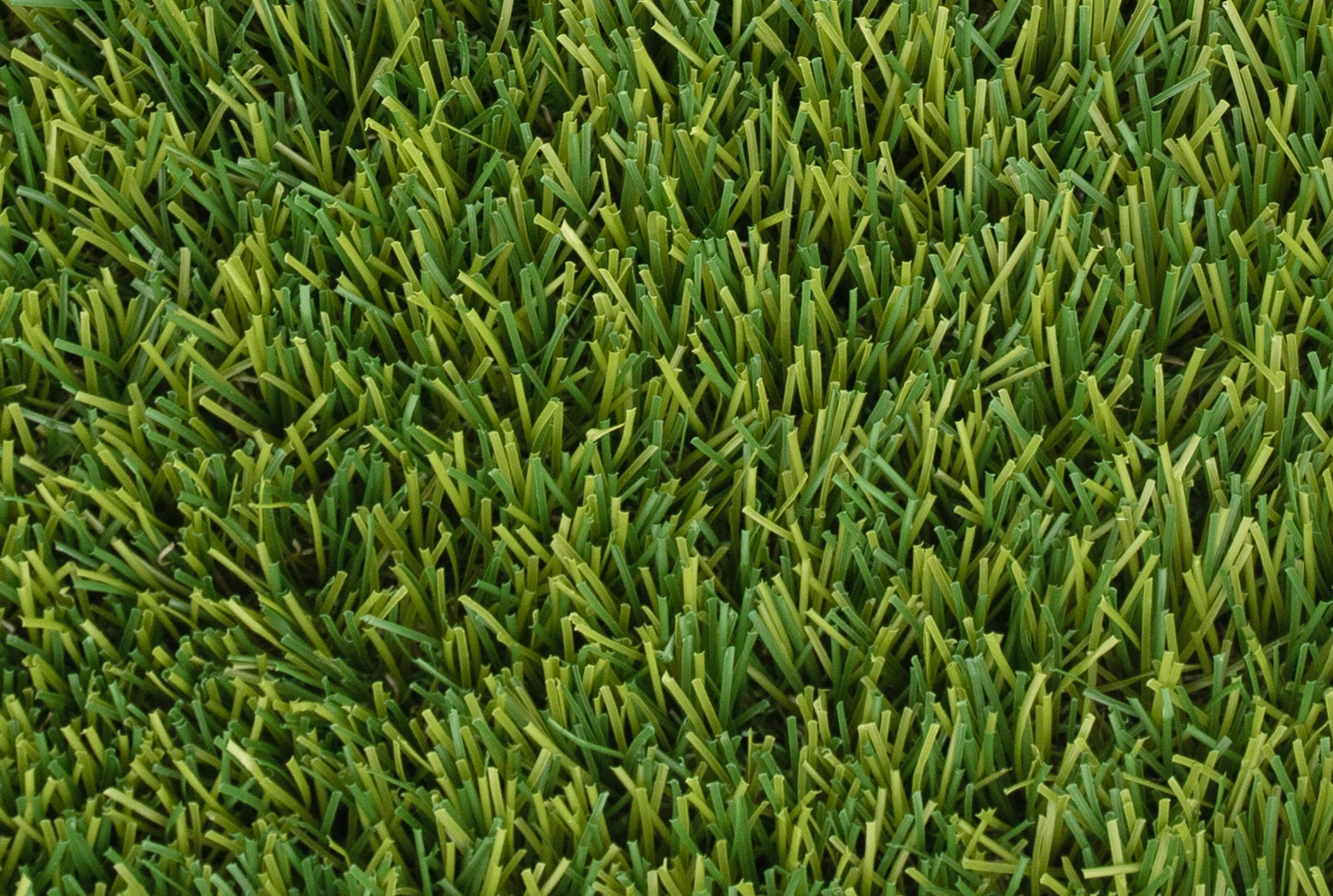 Delamere Artificial Grass