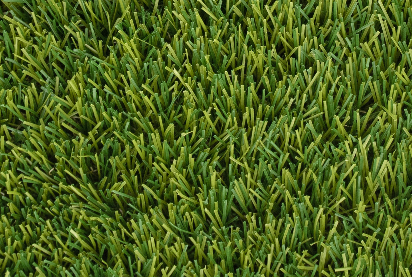 Delamere Artificial Grass