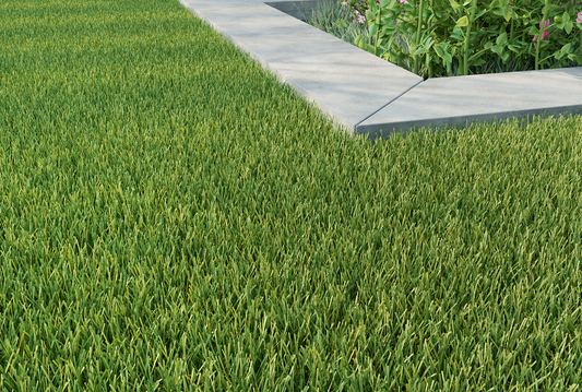 Delamere Artificial Grass