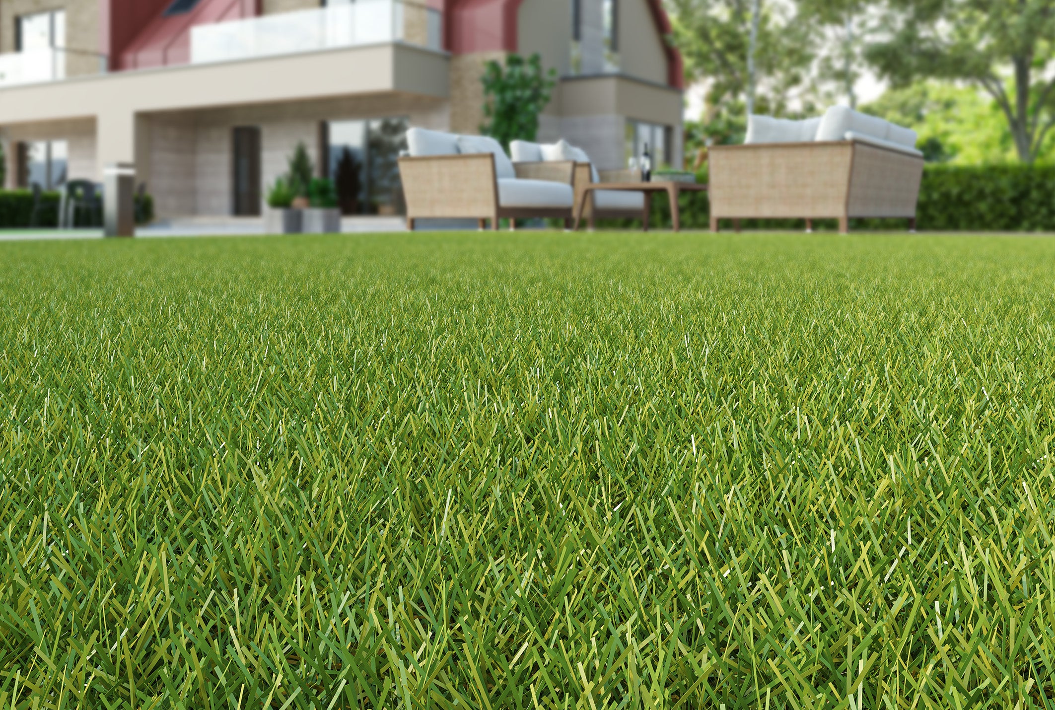 Frensham Plus Artificial Grass