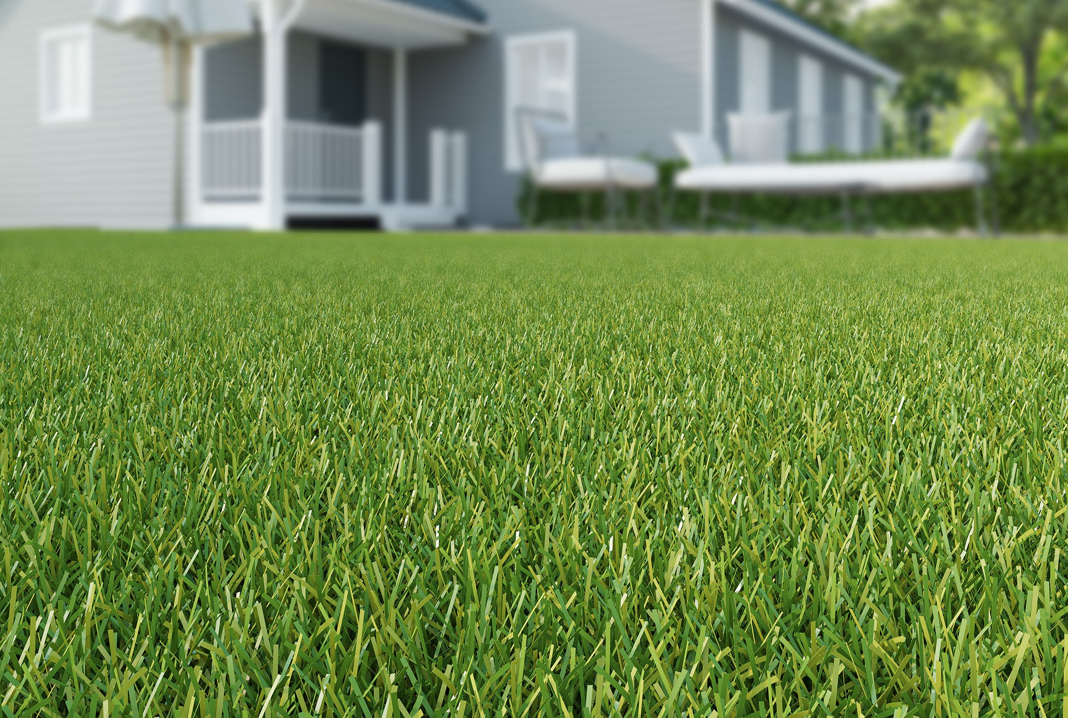 Kensington Artificial Grass