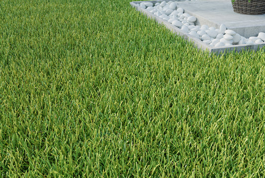 Kensington Artificial Grass