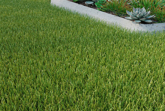 Kingsbury Artificial Grass