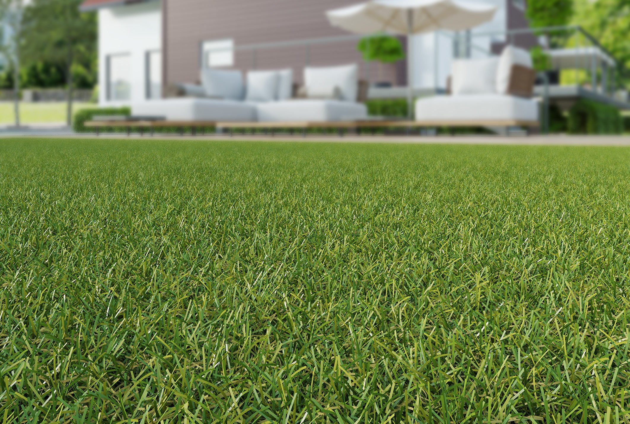 Kingsbury Artificial Grass