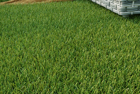 Kingsbury Plus Artificial Grass