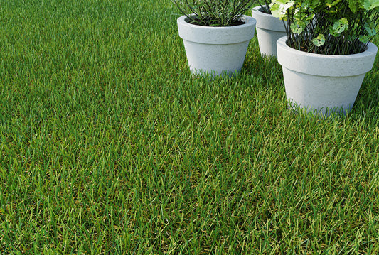 Richmond Plus Artificial Grass