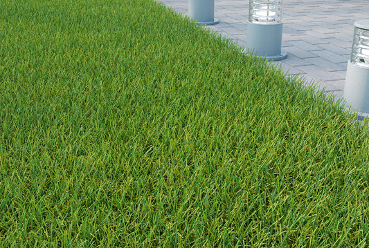Rutland Plus Artificial Grass