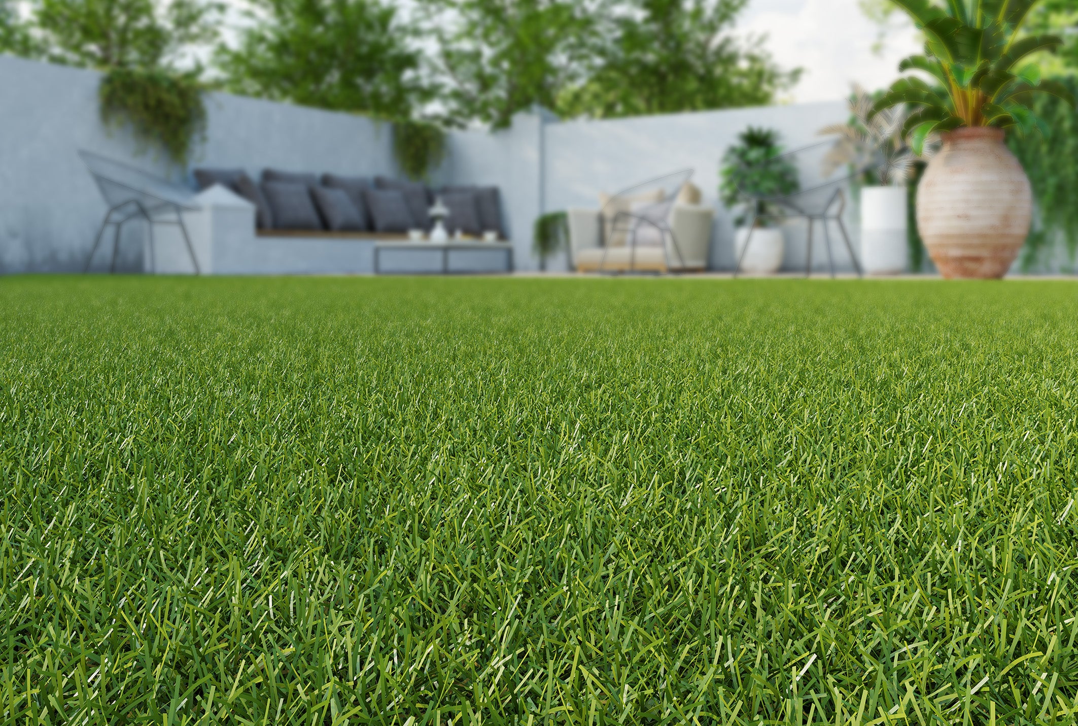 Rutland Artificial Grass